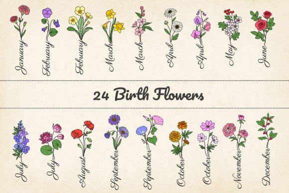 24 Minimalist Birth Month Flowers: SVG & PNG Design Kit