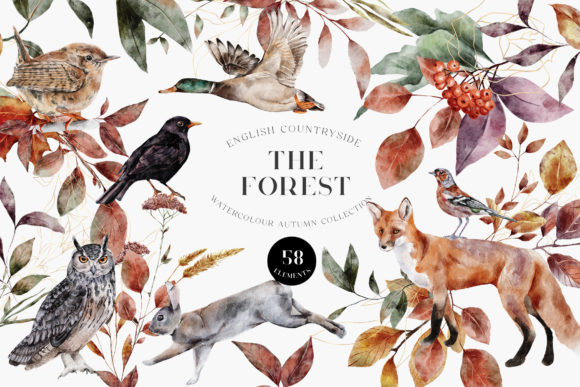 Capture the Season's Soul: Autumn Forest Animals Watercolor PNG Collection