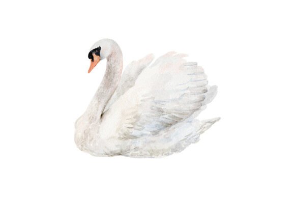 Elevate Your Projects with a Watercolor White Swan PNG Clipart