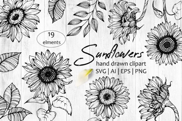 Sunflowers Line Art SVG: A Hand-Drawn Design Asset for Every Project