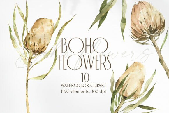 Watercolor Banksia and Protea Clipart for a Natural, Boho Vibe